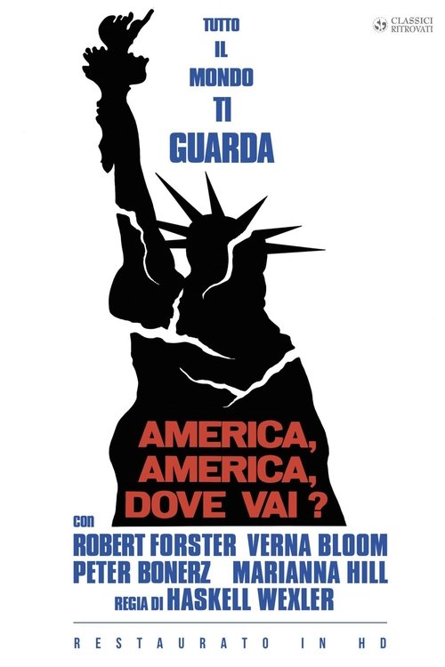 America, America, dove vai? (1969) - HD720p