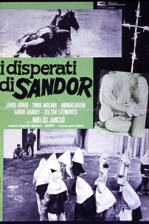 I disperati di Sandor (1966) - HD720p