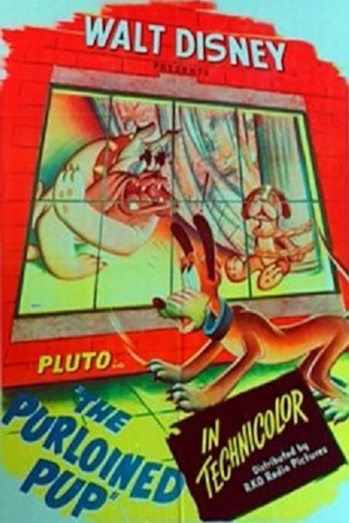 Il cucciolo rapito (1946) - Stream