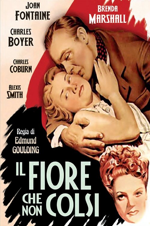 Il fiore che non colsi (1943) - Stream
