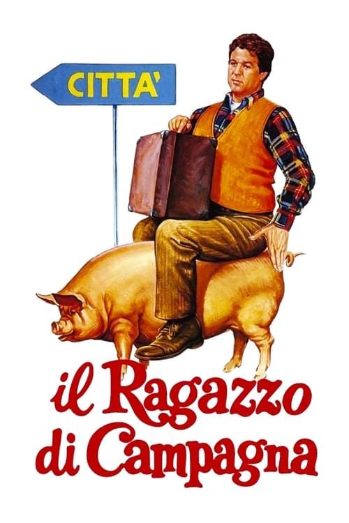 Il ragazzo di campagna (1984) - Stream