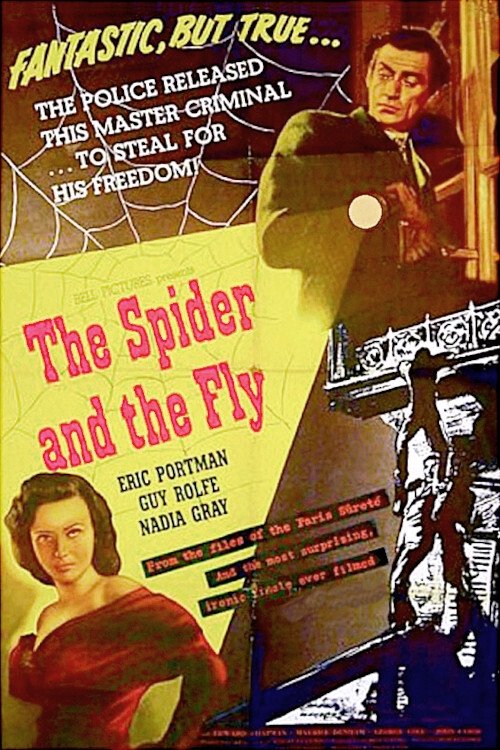 Il ragno e la mosca (1949) - Stream