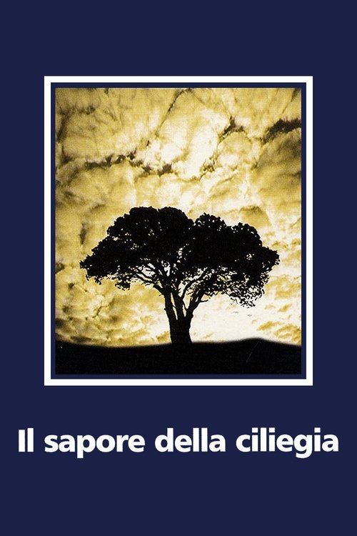 Il sapore della ciliegia (1997) - Stream