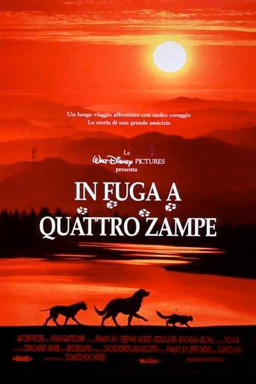 In fuga a quattro zampe- Stream