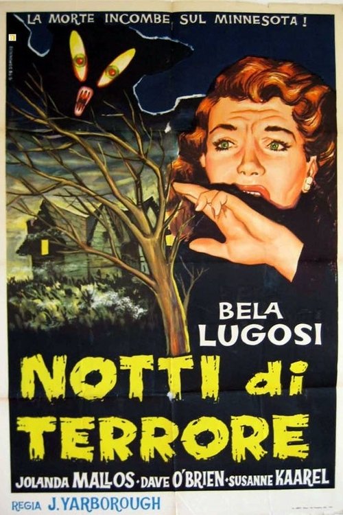 Notti di terrore (1940) - Stream