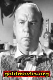 Cap Somers come Diner Patron (uncredited)