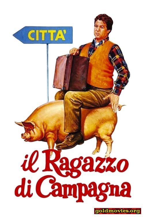 Il ragazzo di campagna (1984)-Stream