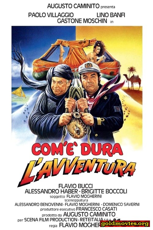 Com'è dura l'avventura (1987)-DVD9