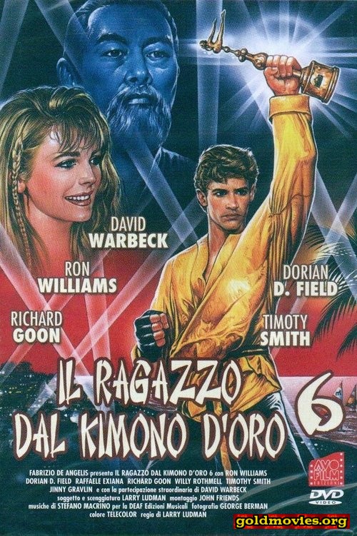 Il ragazzo dal kimono d'oro 6 (1993)-Stream