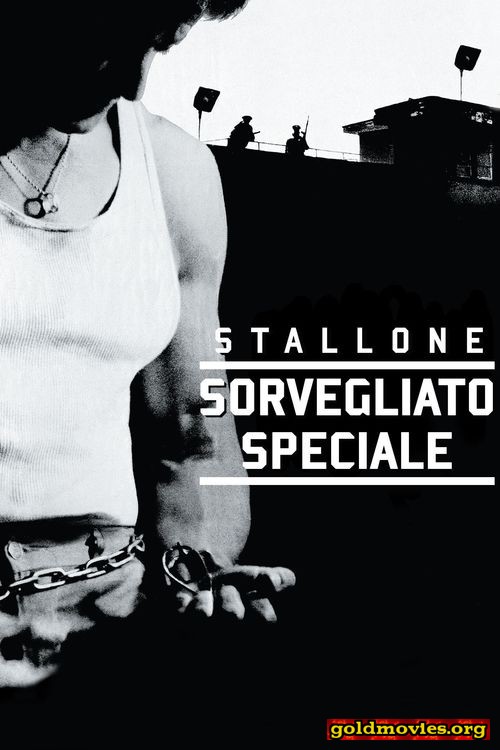 Sorvegliato speciale (1989)-Stream