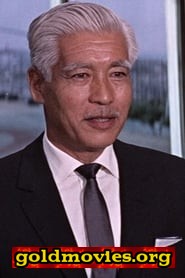 Teru Shimada come Comm. Mori