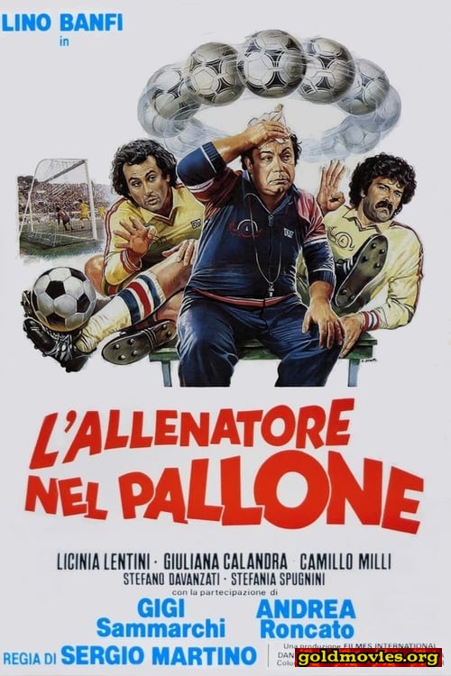 L'allenatore nel pallone (1984)-Stream