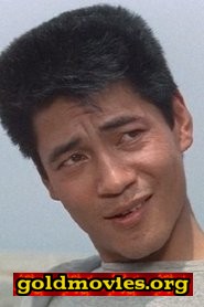 平田大三郎 come Shibata