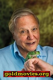 David Attenborough come Himself - Documentary Narrator (voice)