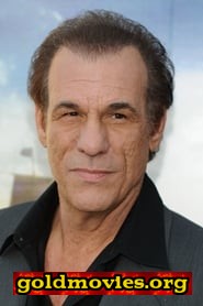 Robert Davi come Jake Fratelli