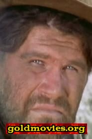 Vittorio Fanfoni