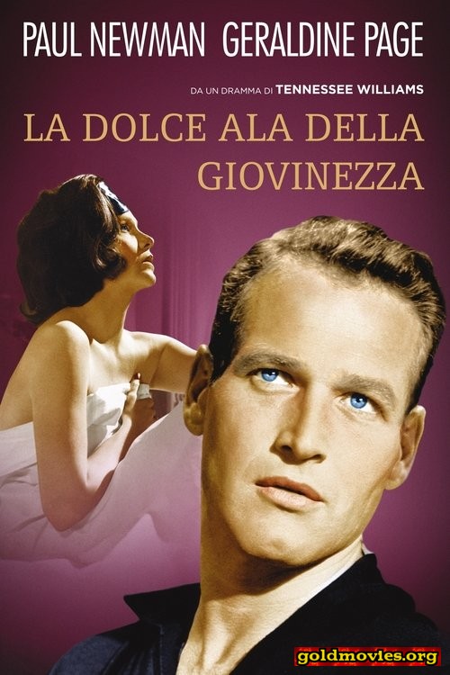 La dolce ala della giovinezza (1962)-HD720p