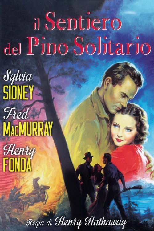 Il sentiero del pino solitario- Stream