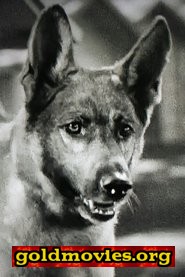 Grey Shadow come Grey Shadow (uncredited)