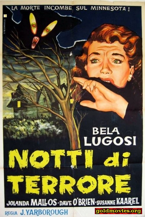 Notti di terrore (1940)-HD720p